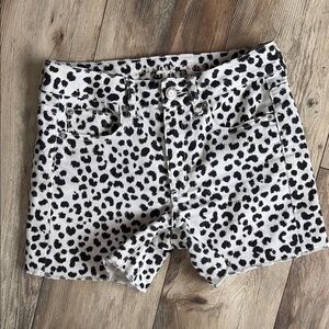 Leopard Print Women's Shorts